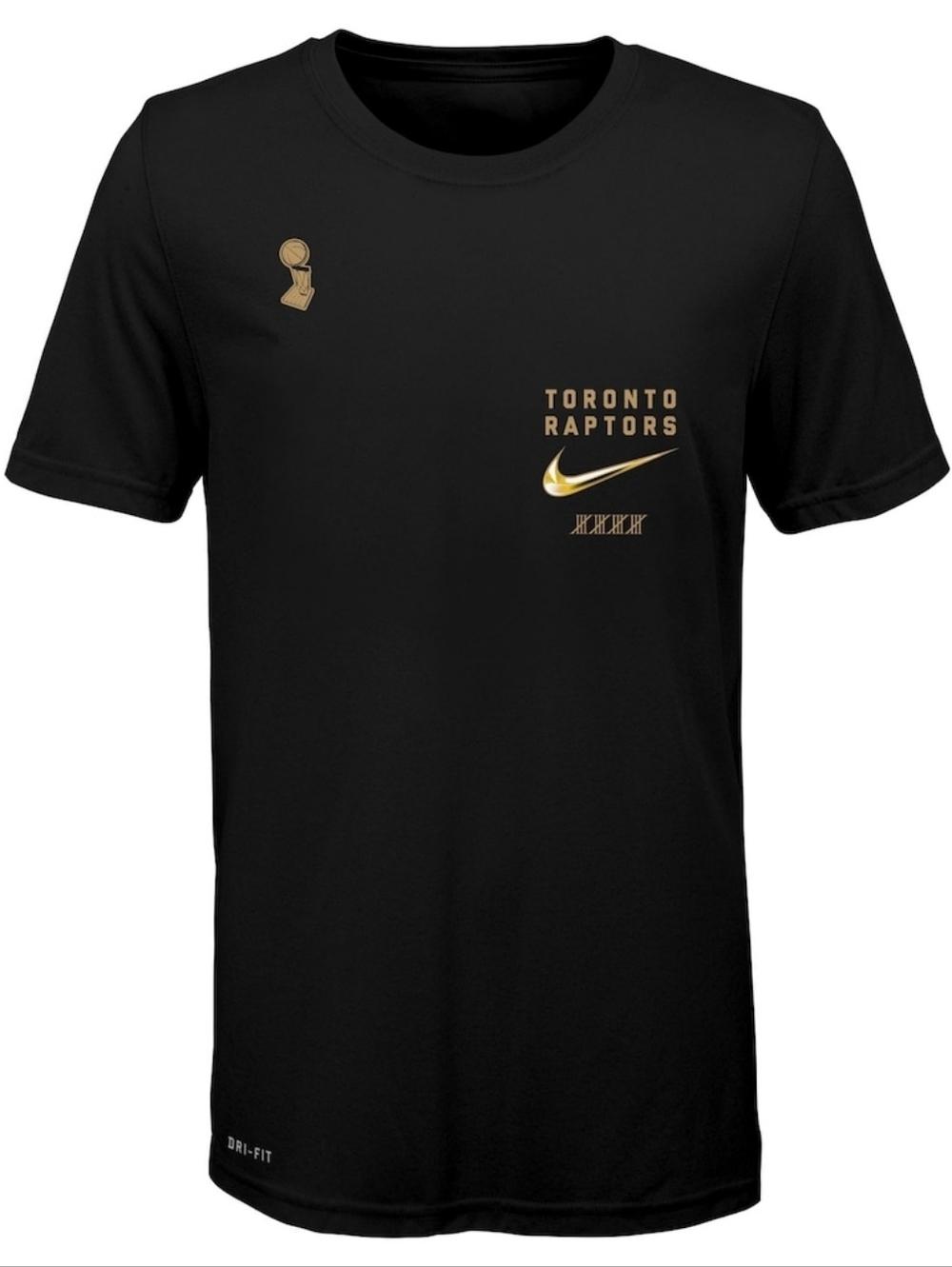 Nike Toronto Raptors 2019 NBA Finals Champions Celebration Shirt